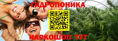 бошки Кизляр
